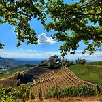 Διαμέρισμα Gruene Auszeit - Zwischen Schwarzwald & Offenburg *