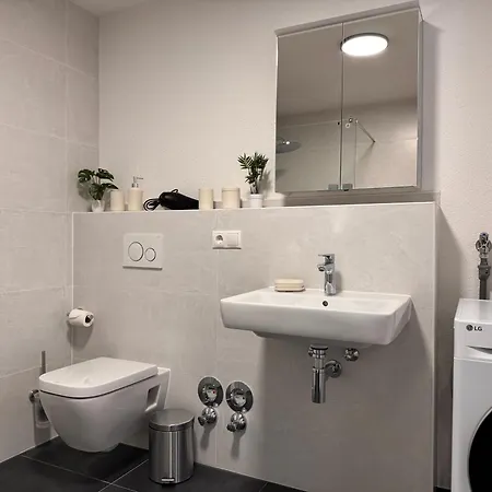 Gruene Auszeit - Zwischen Schwarzwald & Offenburg Apartman *