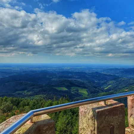Gruene Auszeit - Zwischen Schwarzwald & Offenburg Apartment Ortenberg (Baden-Wurttemberg)