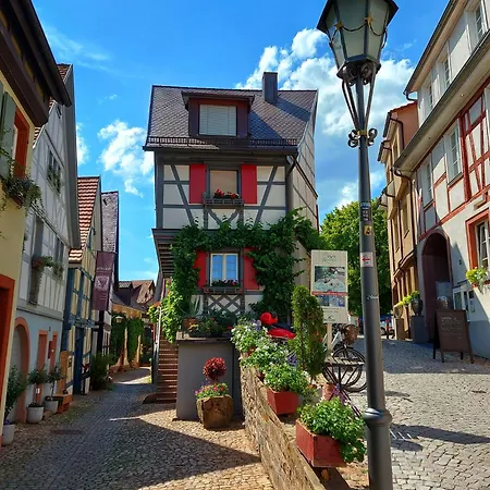 Apartment Gruene Auszeit - Zwischen Schwarzwald & Offenburg Ortenberg (Baden-Wurttemberg)