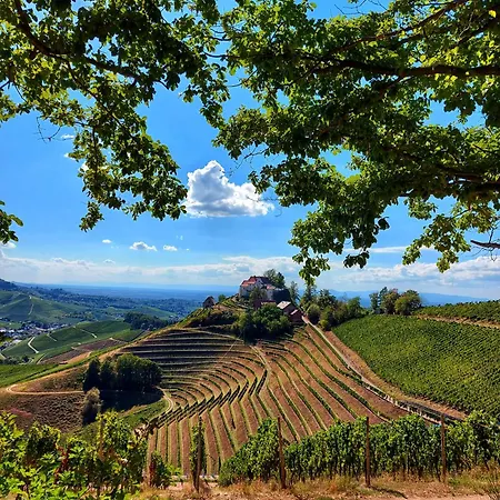 Apartman Gruene Auszeit - Zwischen Schwarzwald & Offenburg *