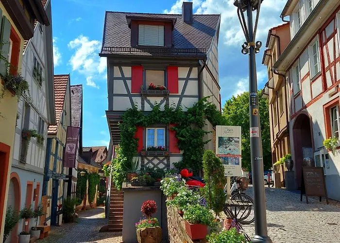 Appartement Gruene Auszeit - Zwischen Schwarzwald & Offenburg Ortenberg (Baden-Wurttemberg)