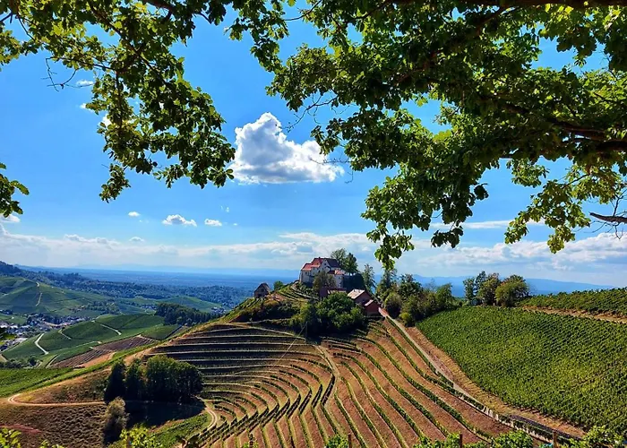 Appartement Gruene Auszeit - Zwischen Schwarzwald & Offenburg *